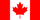 Toronto flag